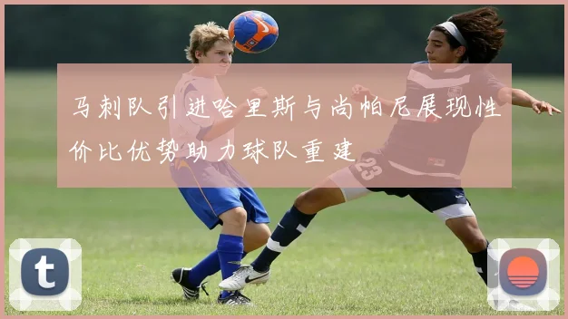 马刺队引进哈里斯与尚帕尼展现性价比优势助力球队重建