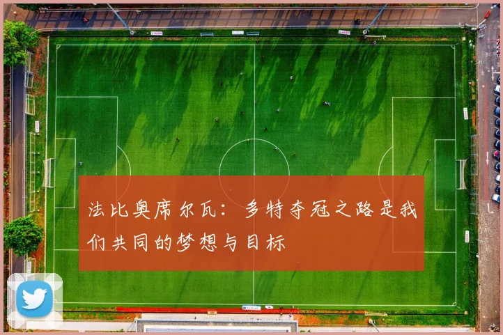 法比奥席尔瓦：多特夺冠之路是我们共同的梦想与目标